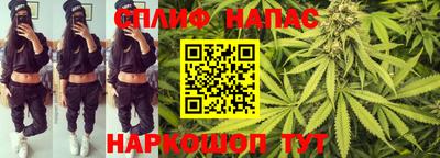 винт Сланцы