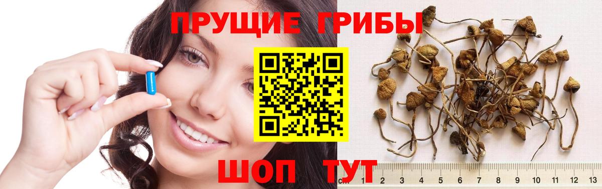 Псилоцибиновые грибы Psilocybine cubensis  Вход с VPN  где купить наркотик  Прокопьевск 